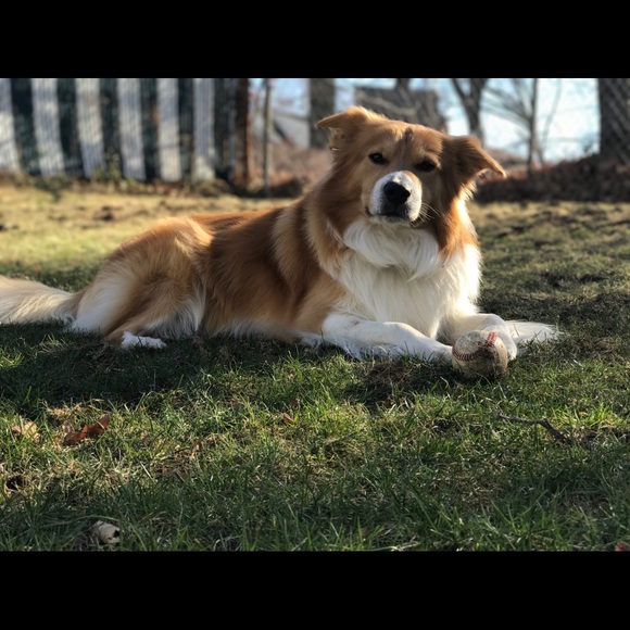 Meet your Posher, Joanne - Picture 1 of 1